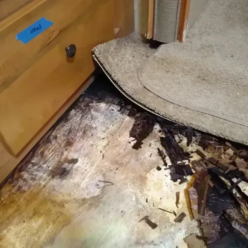 Best Wood Floor Water Damage Service in Ash Flat, AR